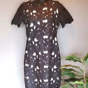 Calvin Klein Black & White Cutout Dress